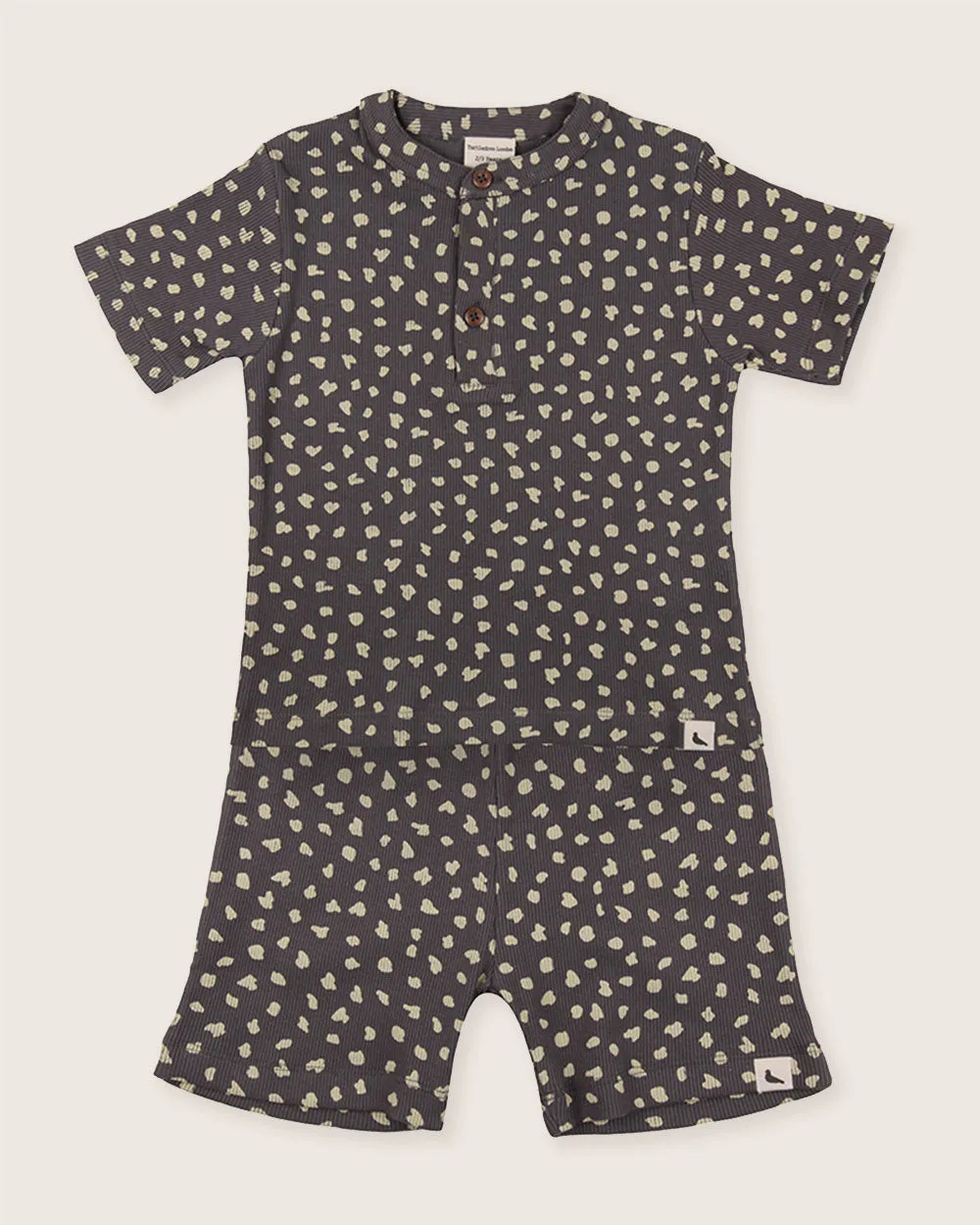 Animal Print T-Shirt & Shorts Set