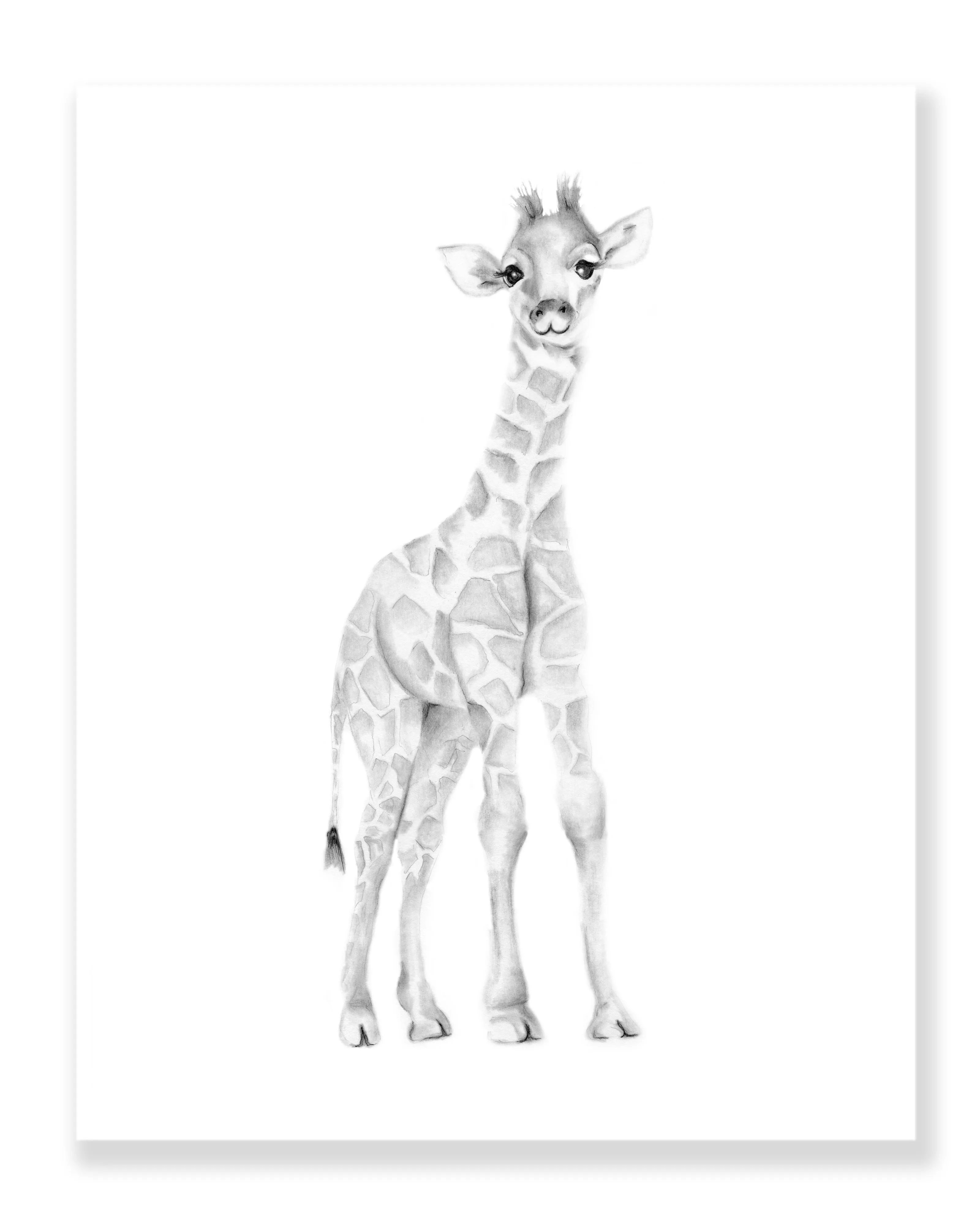 Giraffe Pencil Drawing Print