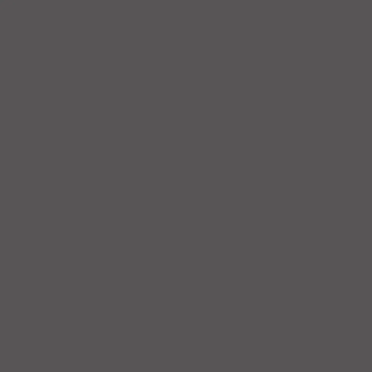 Odyssey Organic Cotton T-Shirt - Ebony Marl