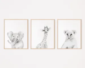 Safari Animal Faces Nursery Art Prints - Set of 3