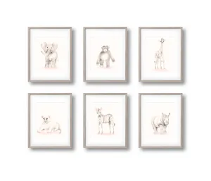 Safari Animal Print Set 6 - Sweet Blush
