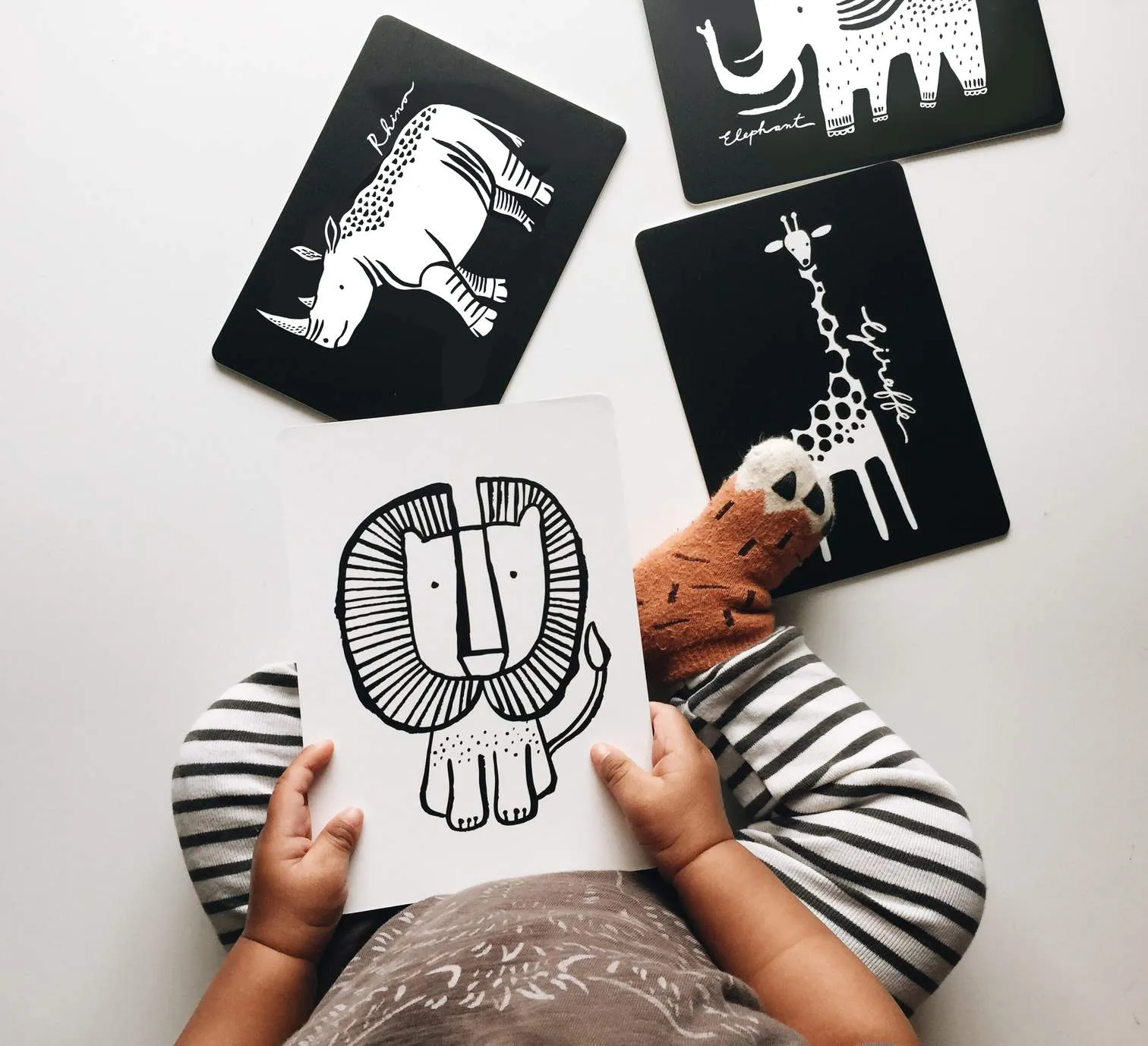 Safari Collection - Art Cards from Baby Boutique