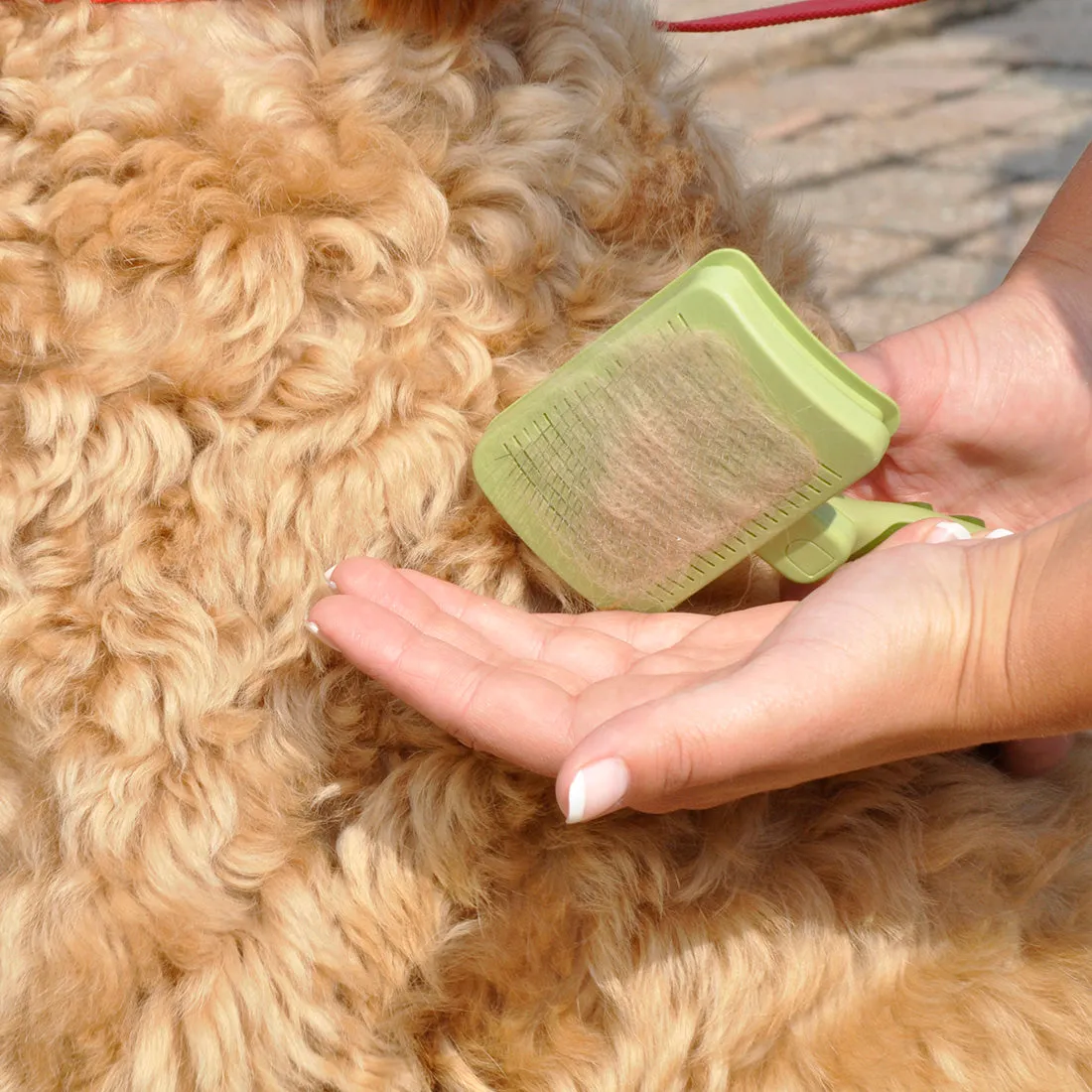 Safari Self-Cleaning Dog Slicker Brush