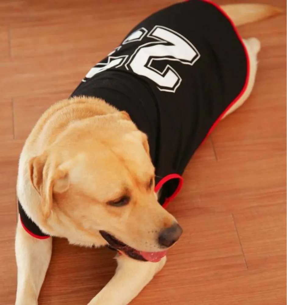 Talking Dog Club Player Ltd Edition Sports Tshirt for Dogs (Black)