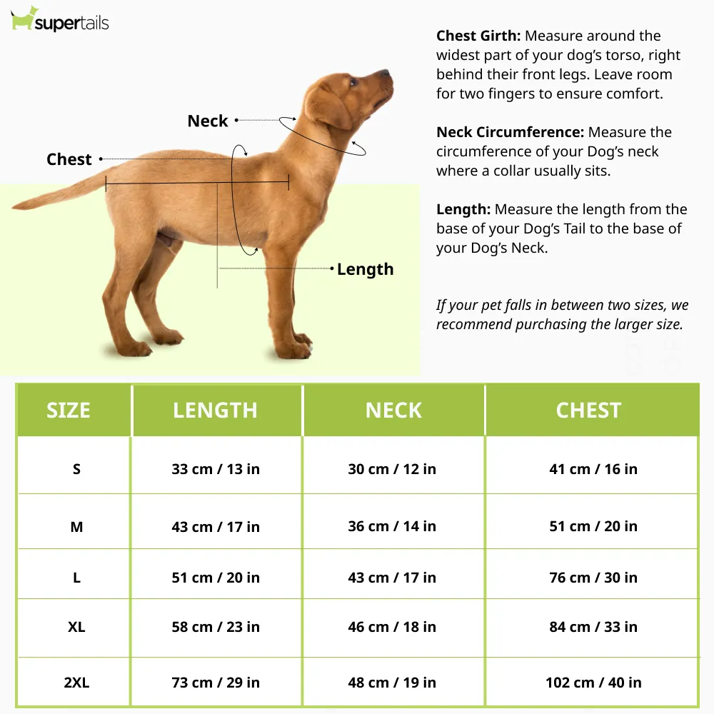 Talking Dog Club Player Ltd Edition Sports Tshirt for Dogs (Yellow)