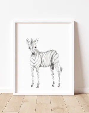 Zebra Pencil Drawing Print